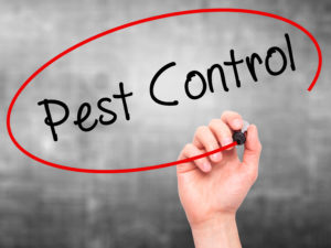 Pest Control - Exterminators